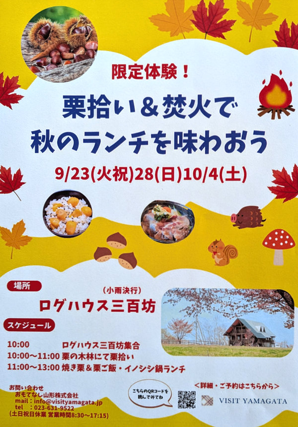 栗拾いと焚き火